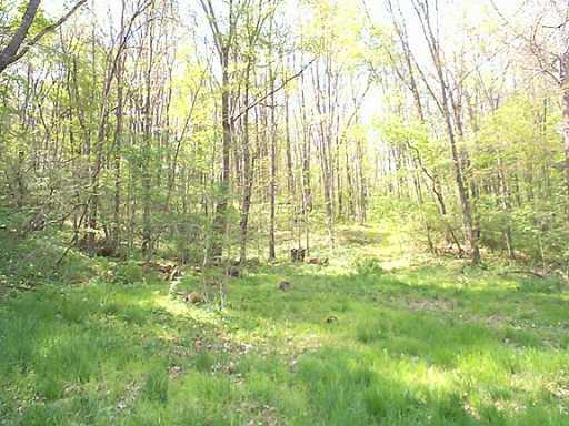 South Camp Run Road Fombell, PA 16123 - Photo 4 of 8 Other.