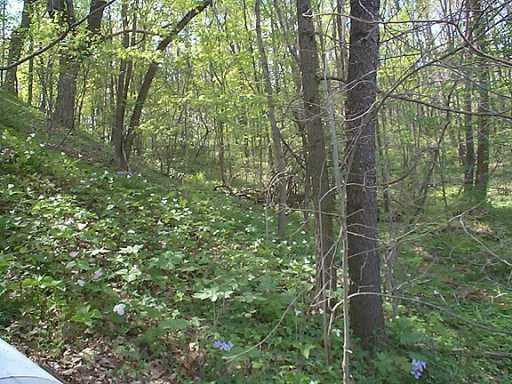 South Camp Run Road Fombell, PA 16123 - Photo 5 of 8 Other.