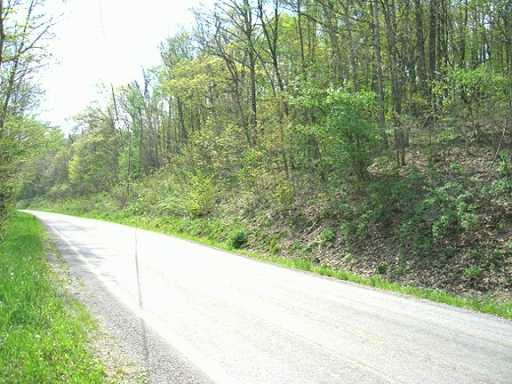 South Camp Run Road Fombell, PA 16123 - Photo 7 of 8 Other.