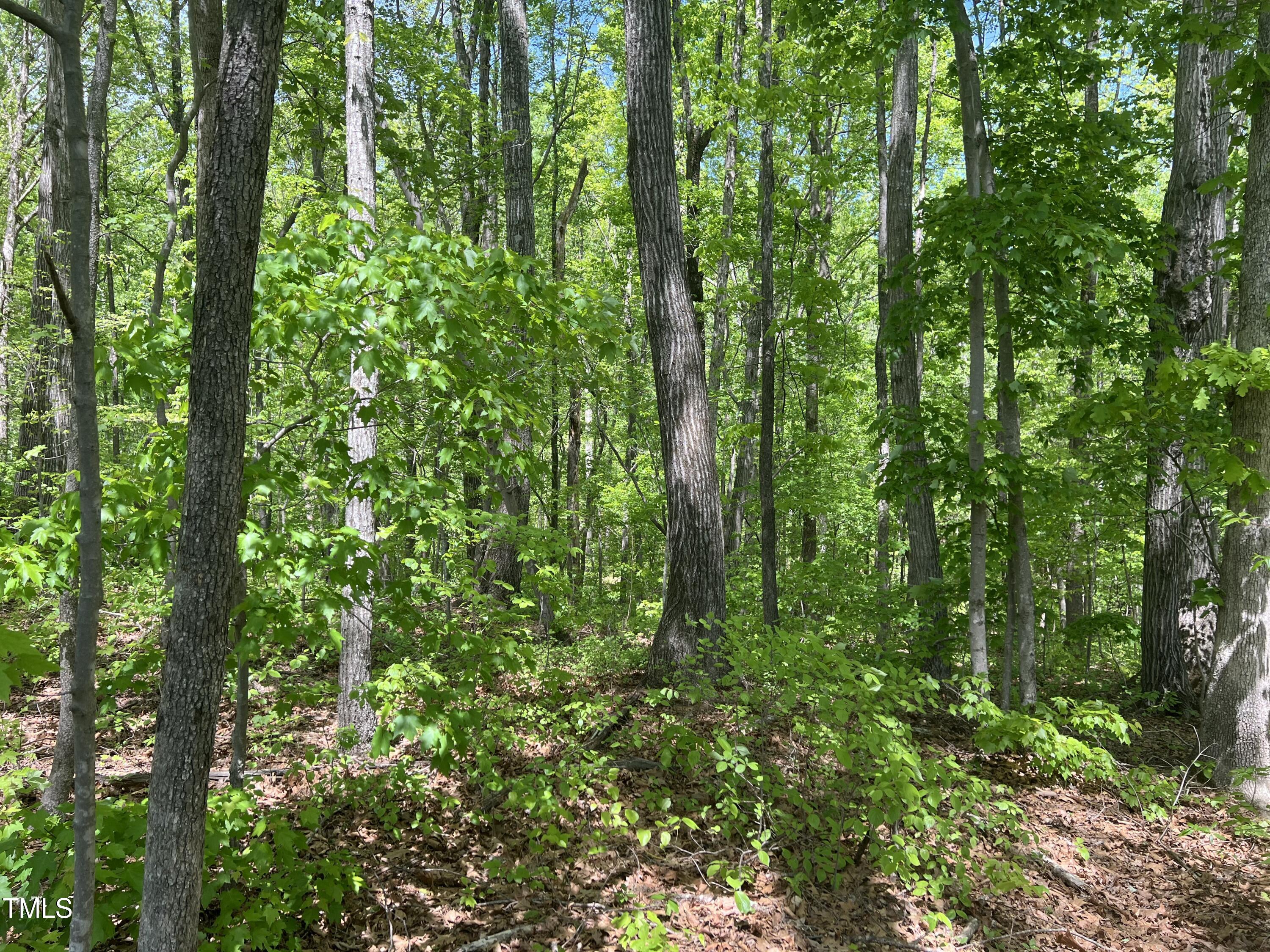 Lot 4 Loftis Loop Roxboro, NC 27574 - Photo 12 of 17 IMG_2042