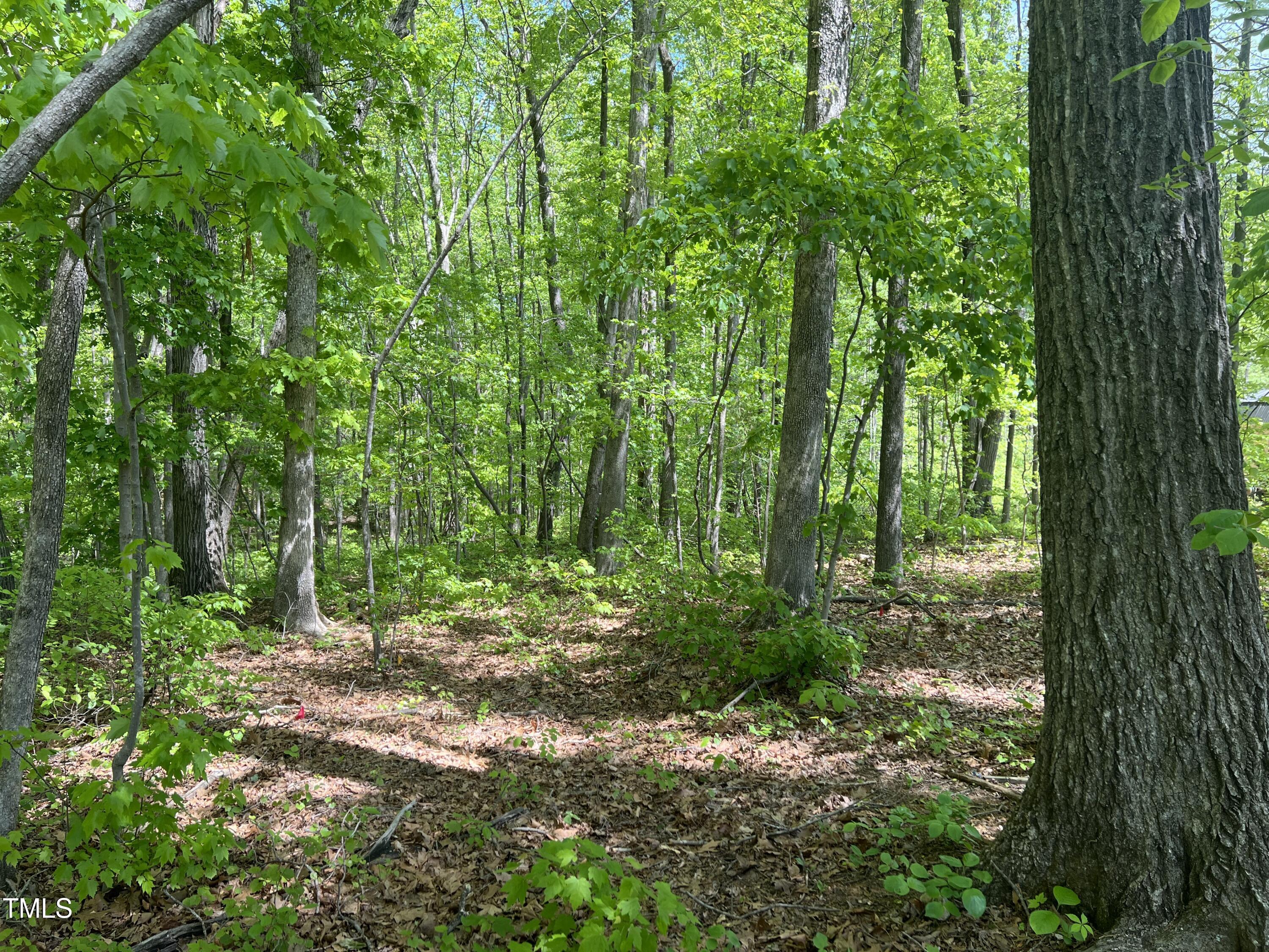 Lot 4 Loftis Loop Roxboro, NC 27574 - Photo 4 of 17 IMG_2043