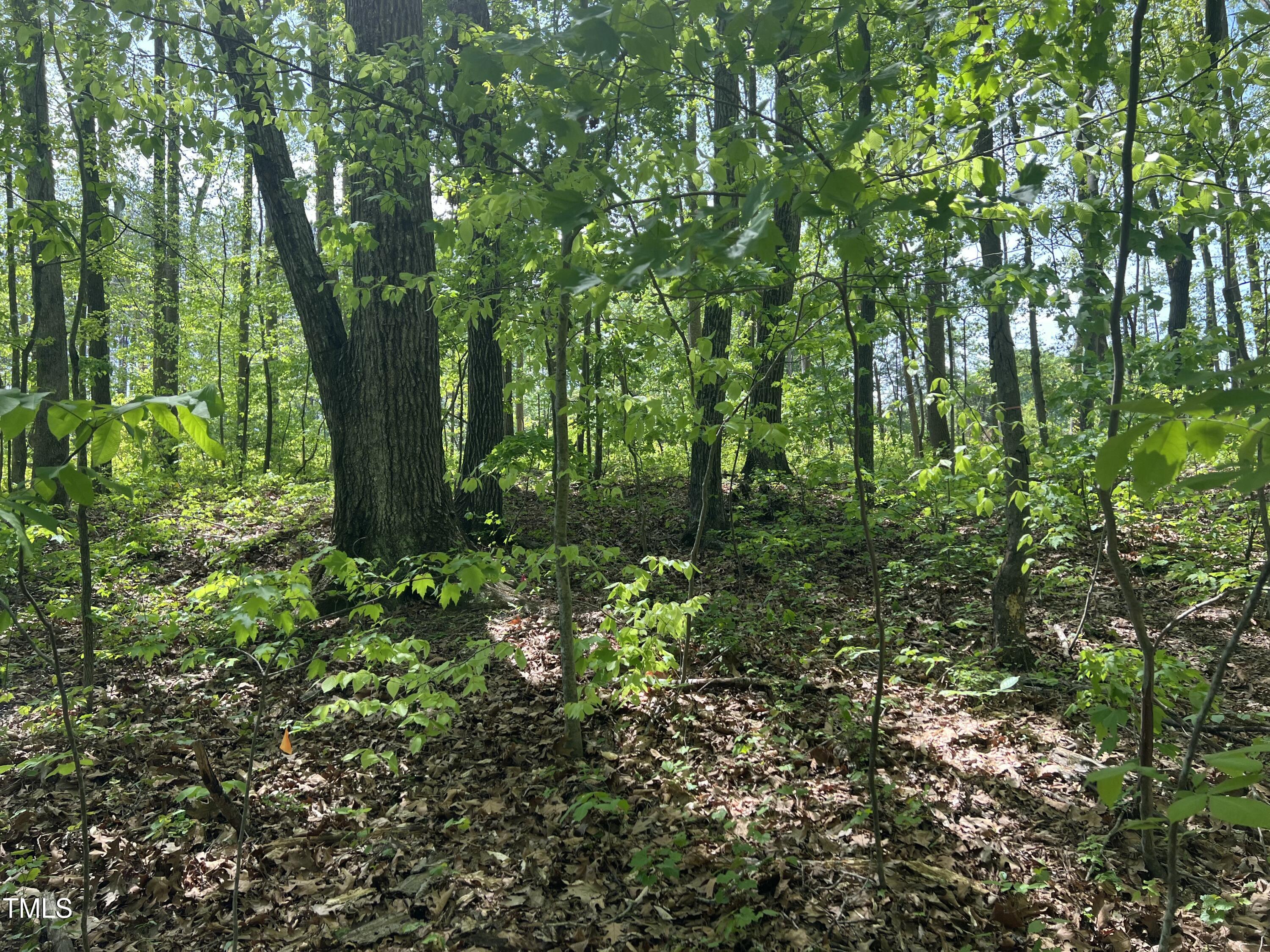 Lot 4 Loftis Loop Roxboro, NC 27574 - Photo 6 of 17 IMG_2051