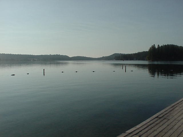 40629 Westline Road Loon Lake, WA 99148 - Photo 6 of 8 Gallery Image 6