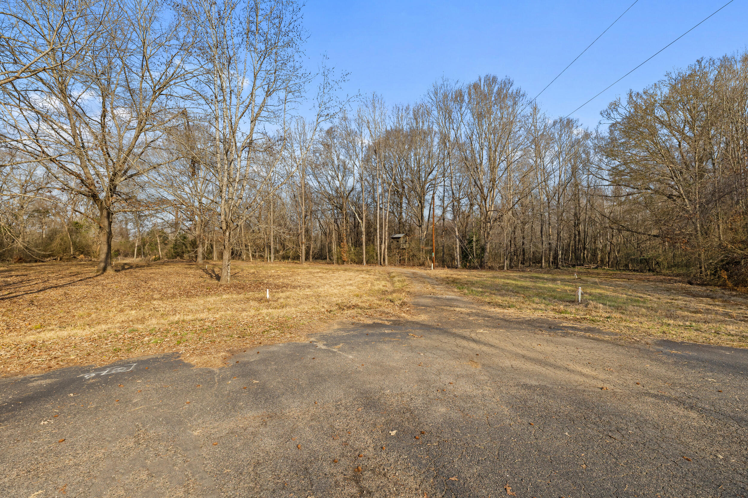 2281 Riverside Plantation Road Jackson, SC 29831 - Photo 8 of 21 2026-02-09_2281_riverside_plantation_rd-