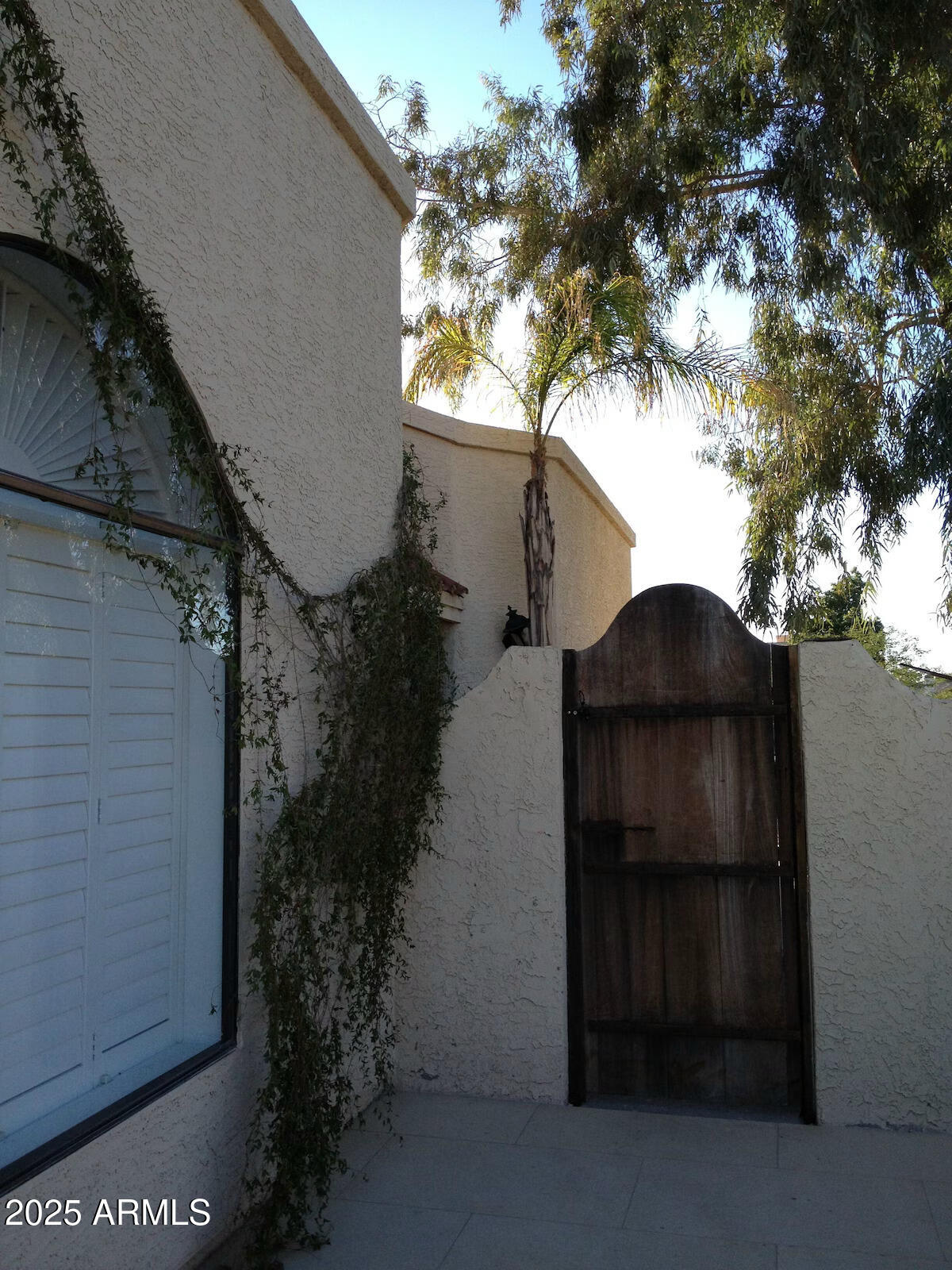 10413 North 45th Place Phoenix, AZ 85028 - Photo 17 of 25 a view of a back yard of the house
