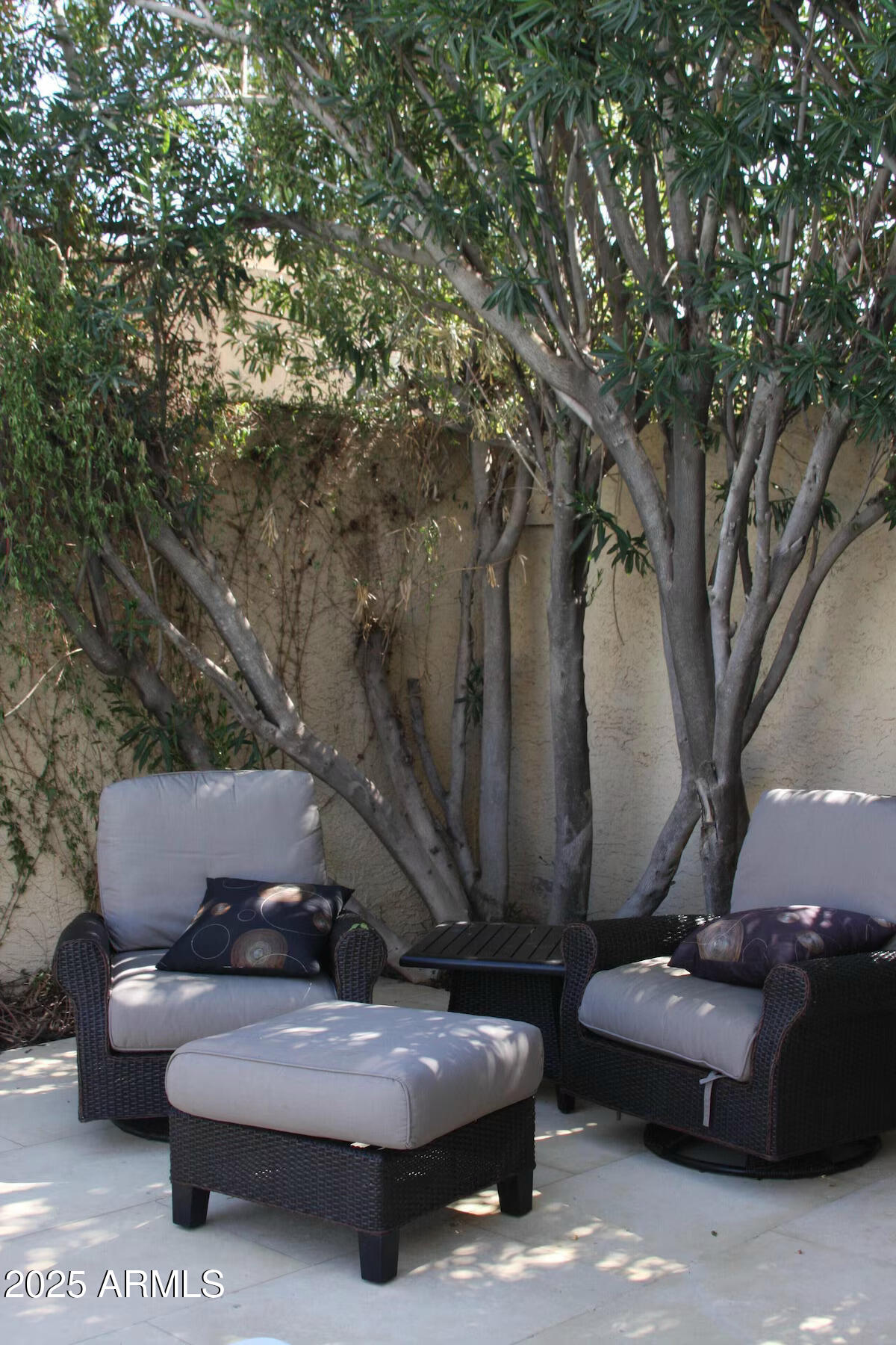 10413 North 45th Place Phoenix, AZ 85028 - Photo 18 of 25 a view of backyard with furniture