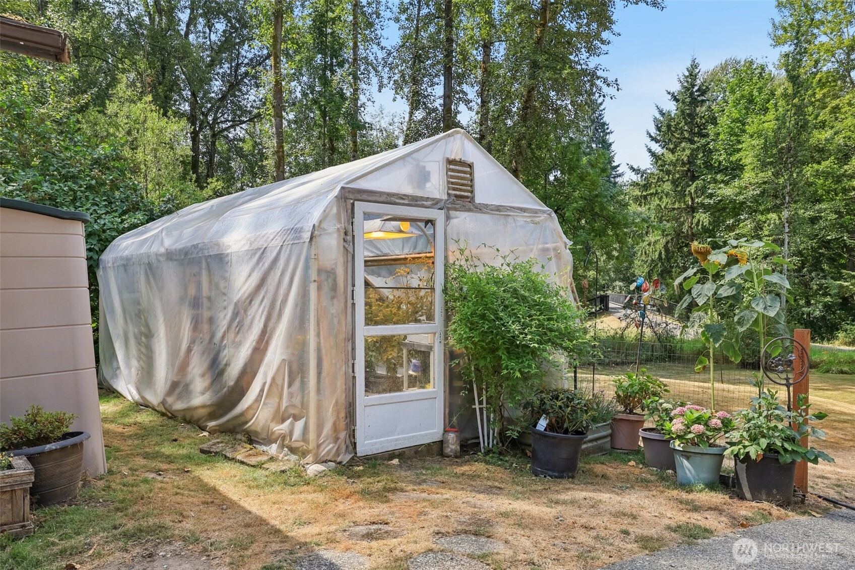 17209 West Riverside Drive Bothell, WA 98011 - Photo 27 of 39 a view of a house with a yard plants and large tree
