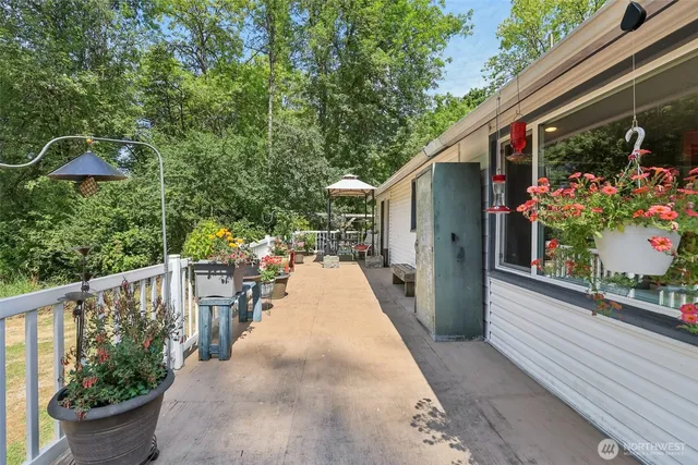 a view of a potted flower in the corridor