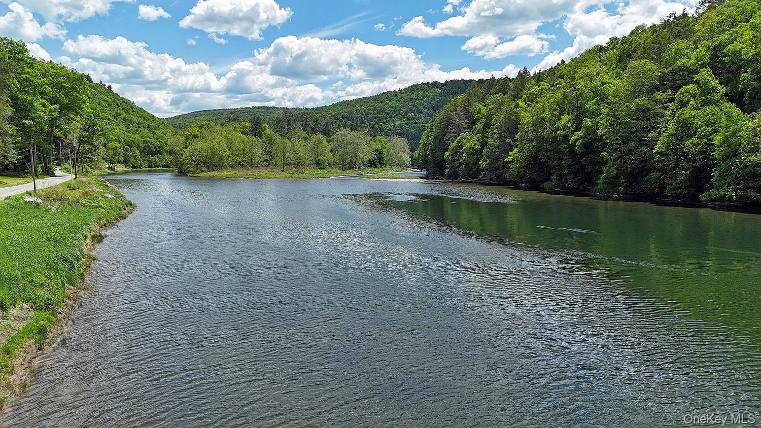 5120 Peas Eddy Road Hancock, NY 13783 - Photo 2 of 37 a view of lake with green space