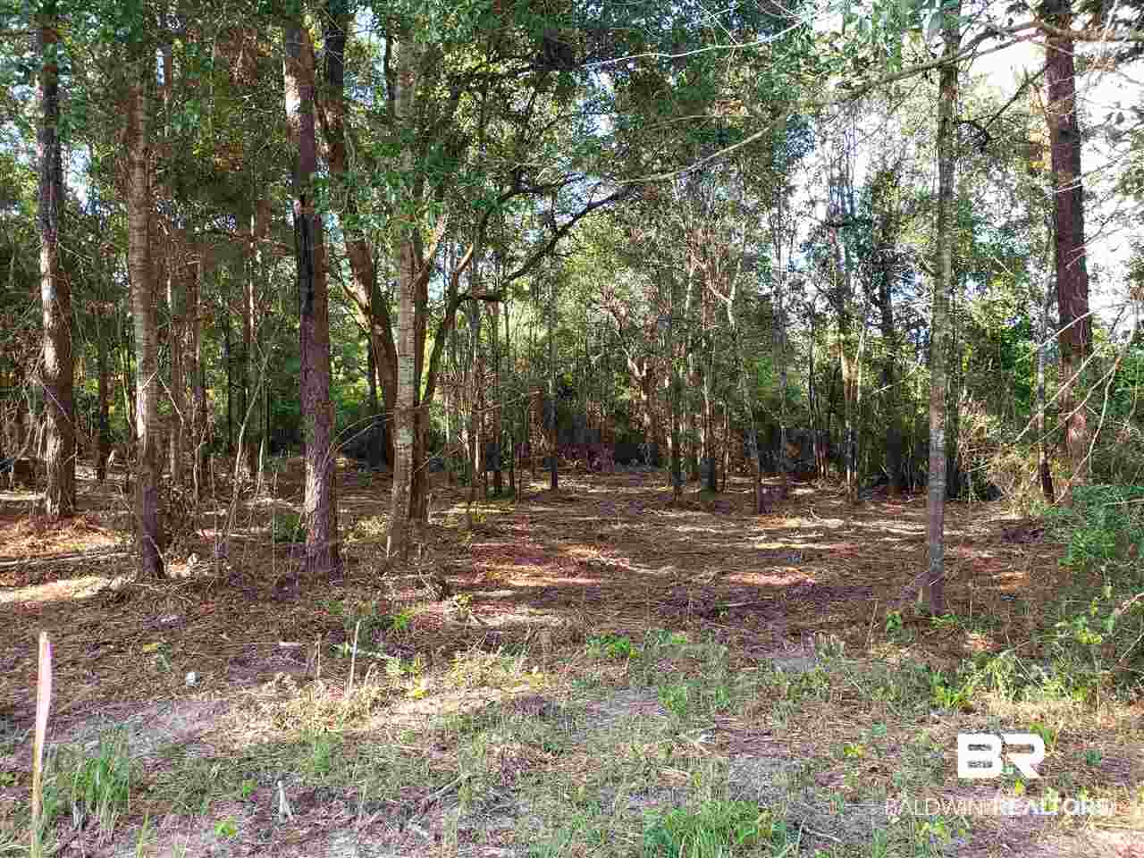 Lot 16 Hamilton Boulevard Foley, AL 36535 - Photo 2 of 2