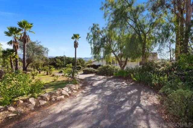 a view of a garden with a tree