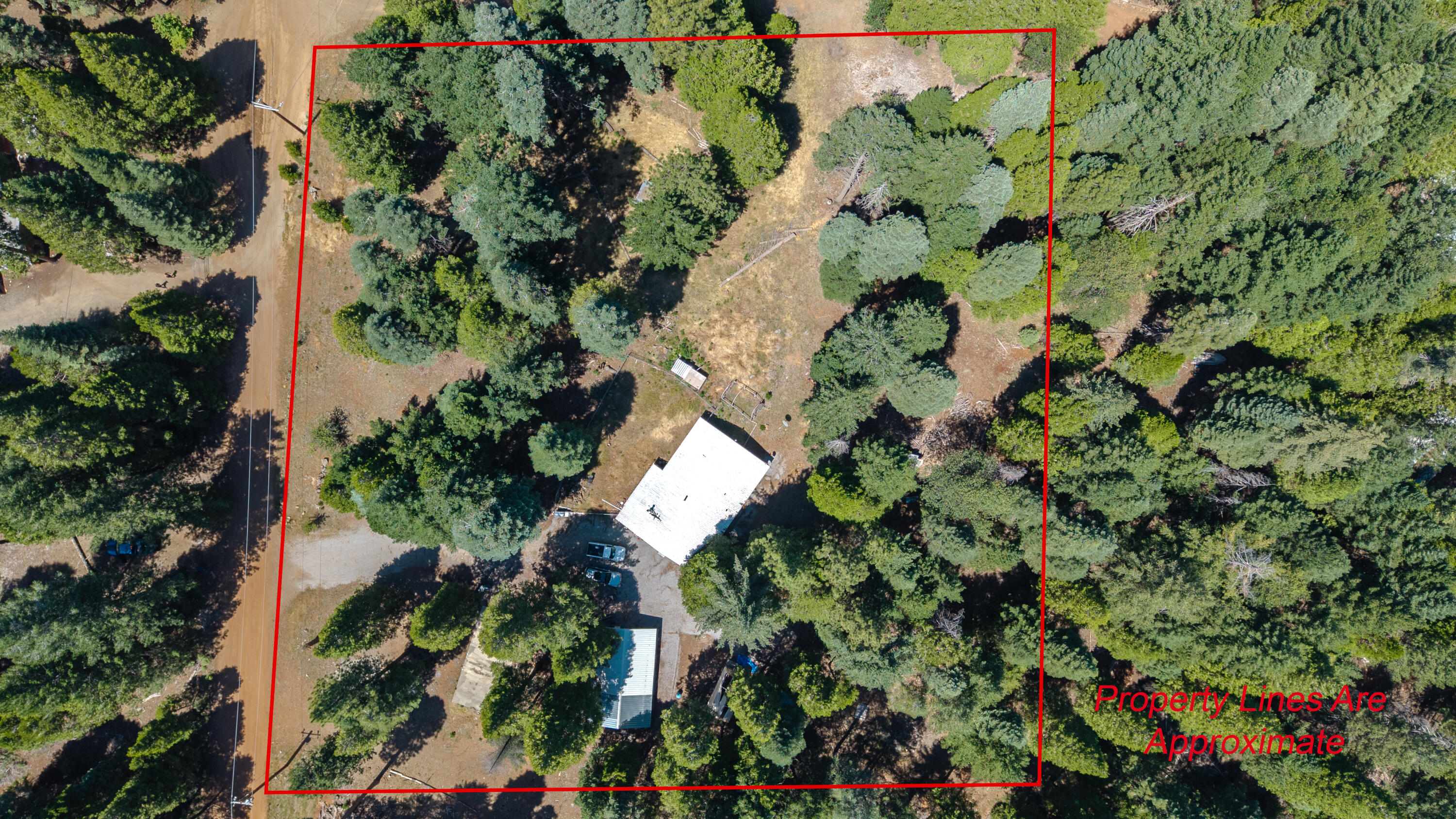 34610 Westward Ho Road Shingletown, CA 96088 - Photo 16 of 34 Drone06PLa