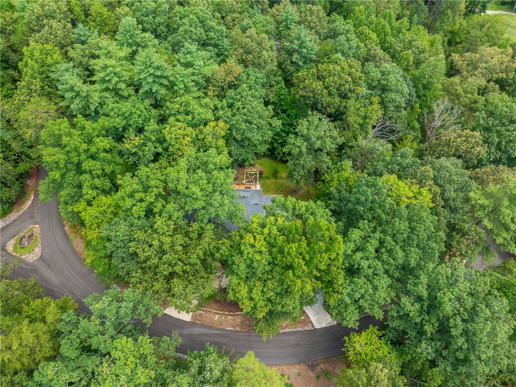 300 Whispering Falls Road Pickens, SC 29671 - Photo 30 of 41 Mature trees surround this private mountain retreat with a winding paved driveway.