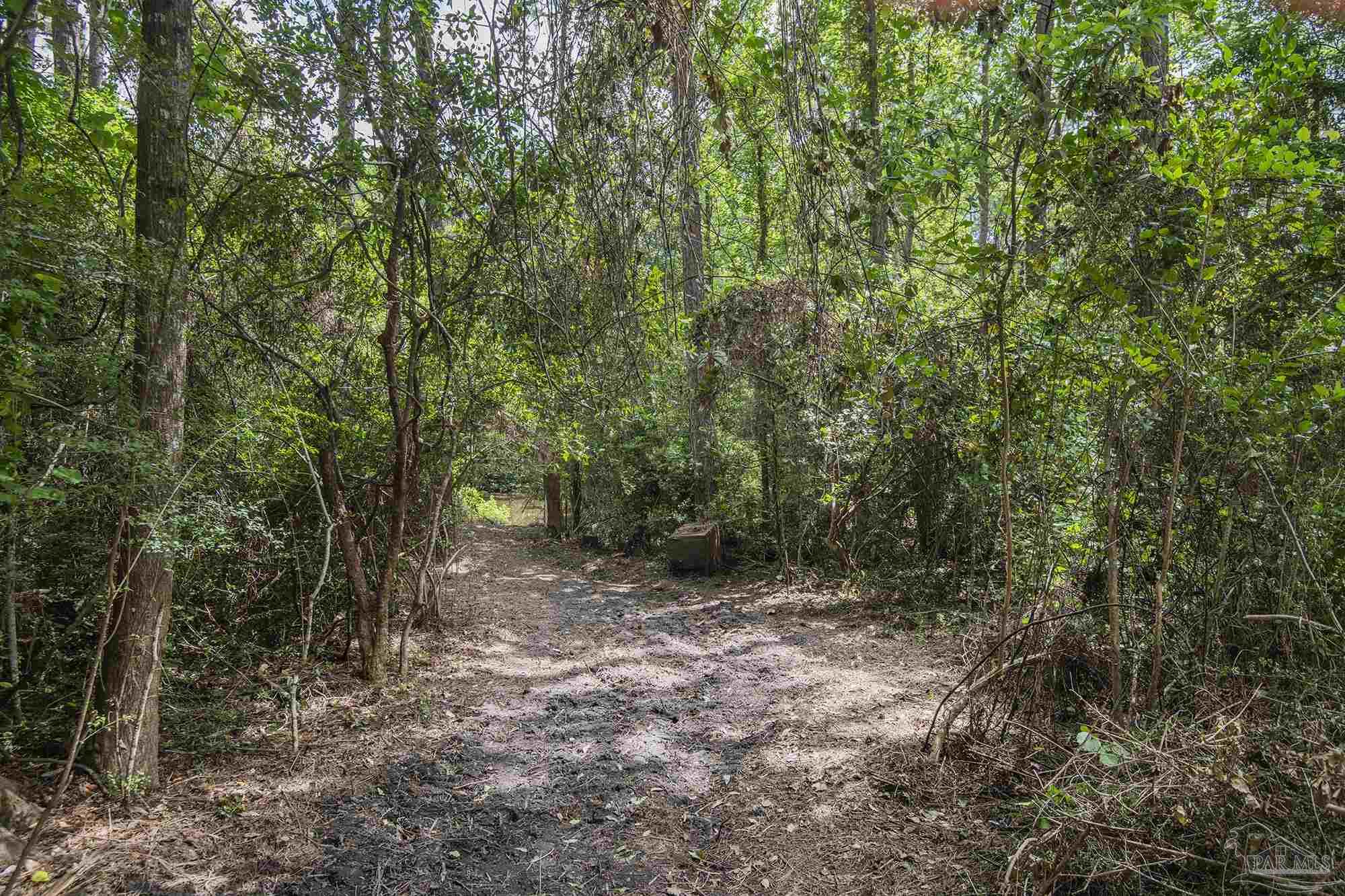 1210 Goldenrod Road Cantonment, FL 32533 - Photo 43 of 50 a view of a forest with trees in the background