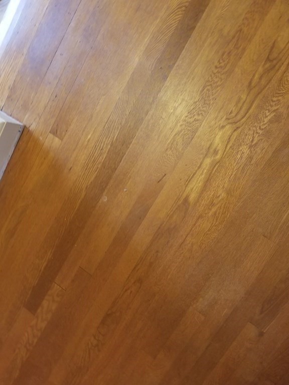 34 Landon Road Milton, MA 02186 - Photo 25 of 36 Gallery Image 25