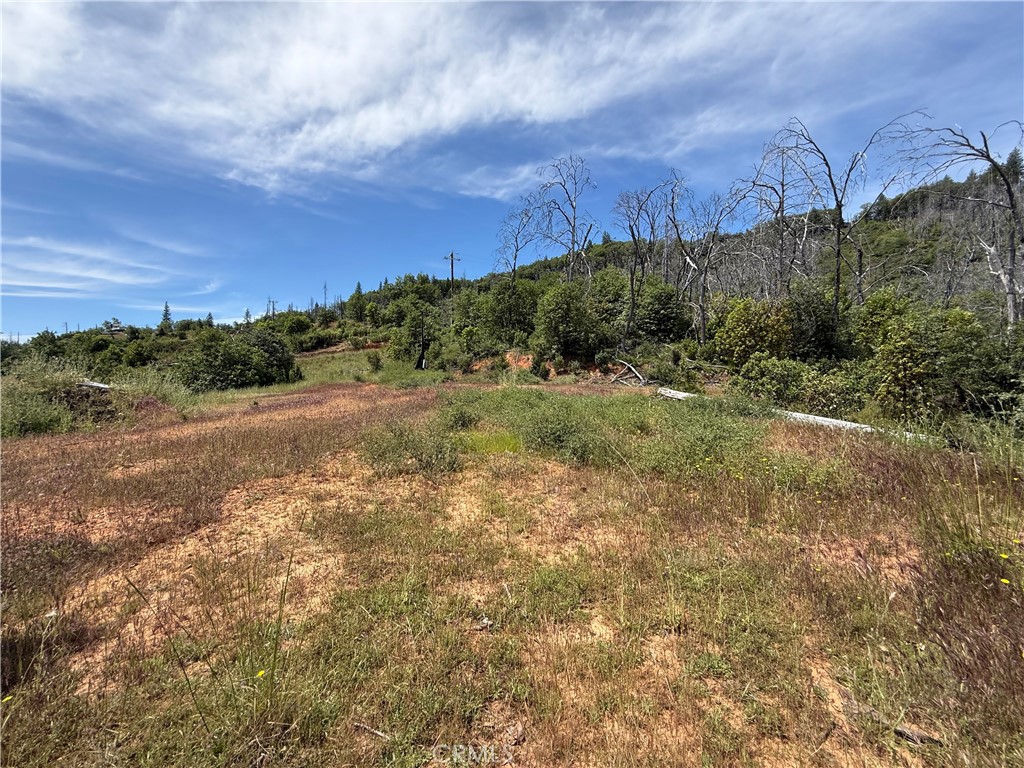1833 Hunter Point Road Upper Lake, CA 95485 - Photo 17 of 20 a view of a field with an ocean