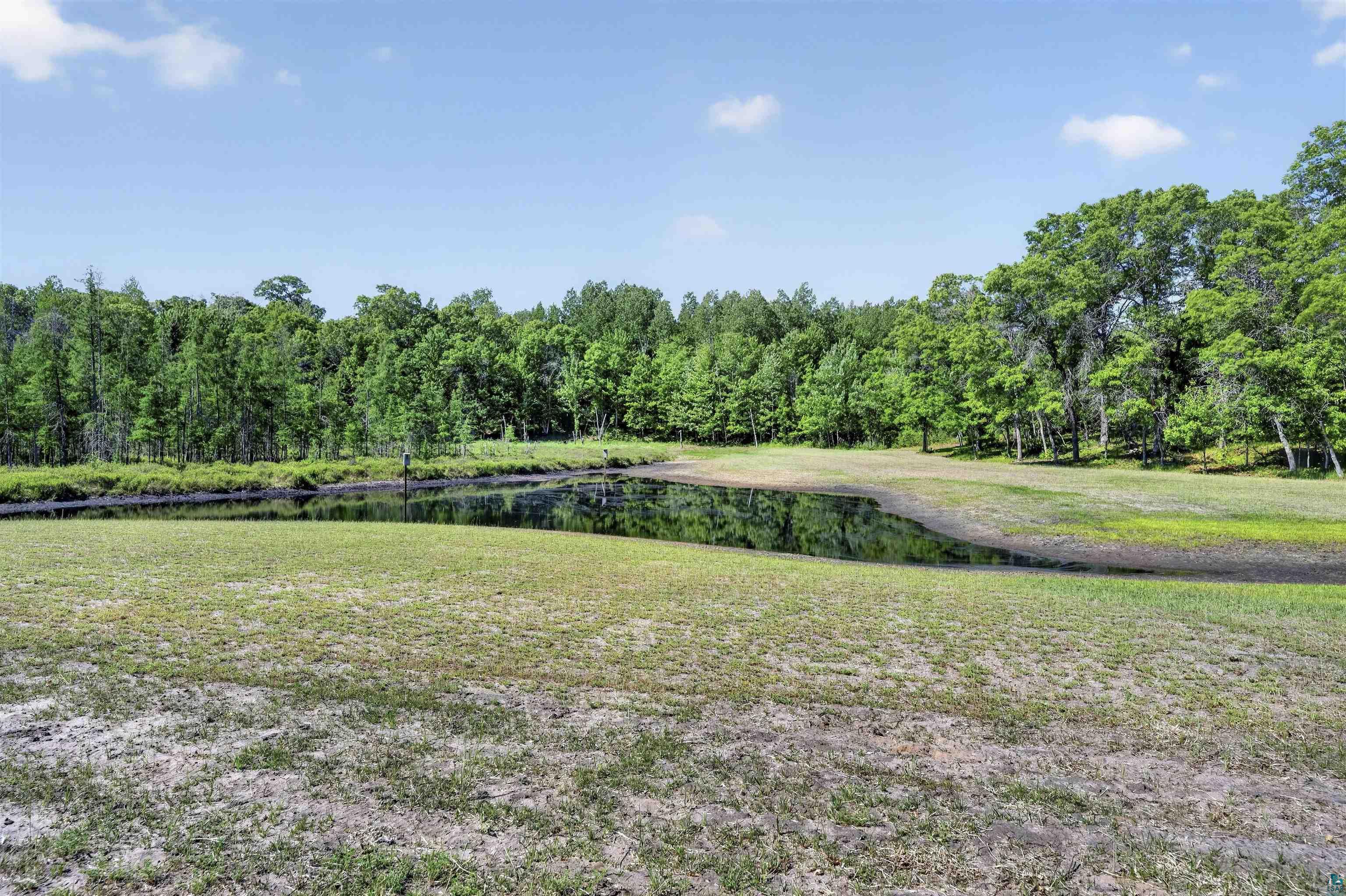 11702 East Mail Road Gordon, WI 54838 - Photo 16 of 60 Expansive open field featuring a natural pond bordered by dense woodlands under a clear sky