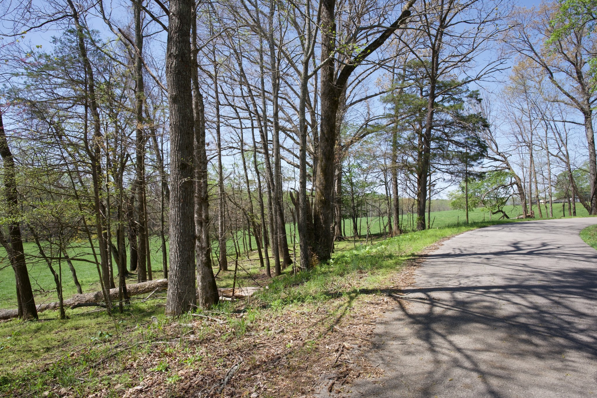 445 Boyd Creek Road Sparta, TN 38583 - Photo 1 of 16 Gallery Image 1