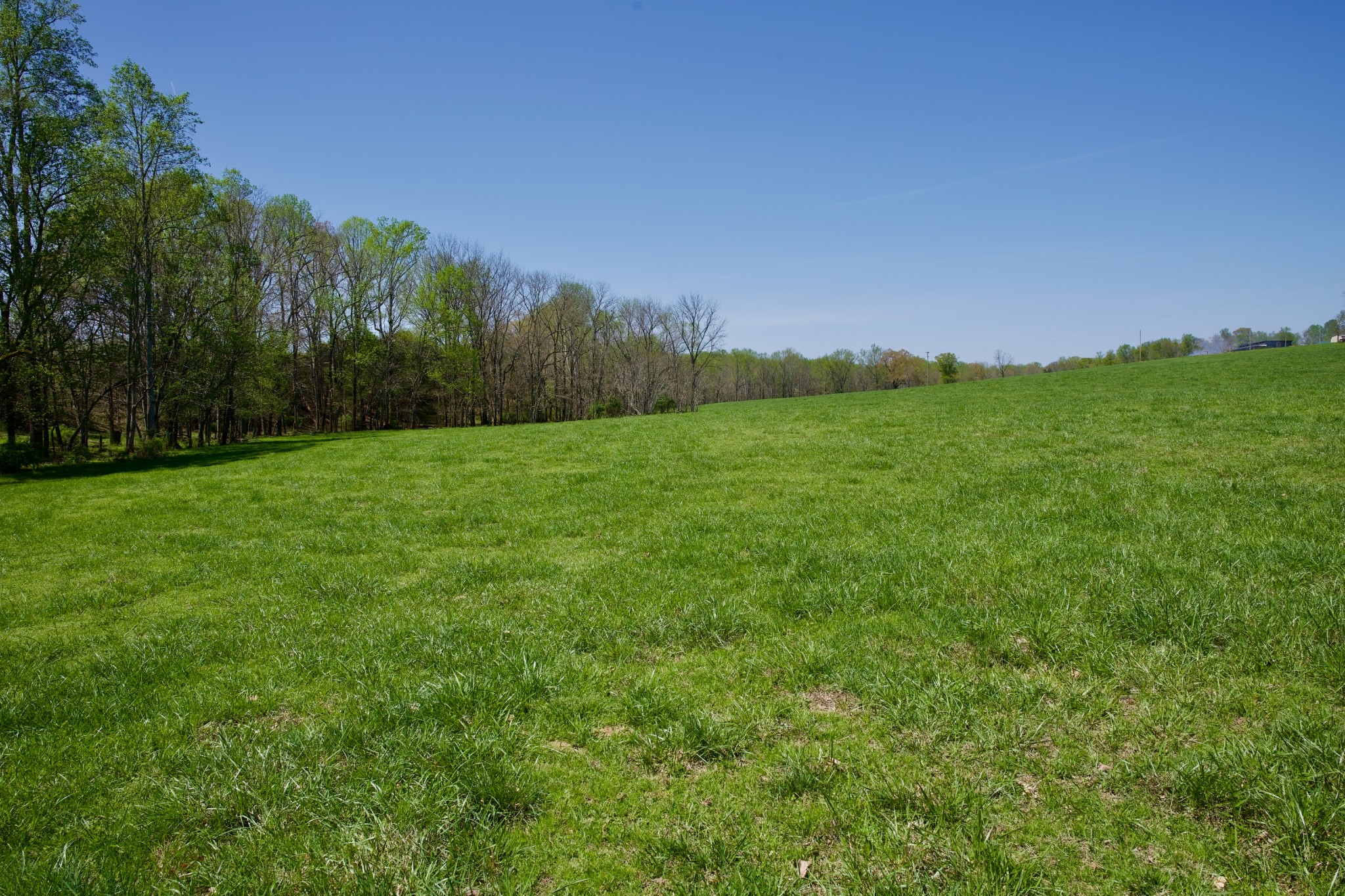 445 Boyd Creek Road Sparta, TN 38583 - Photo 12 of 16 Gallery Image 12