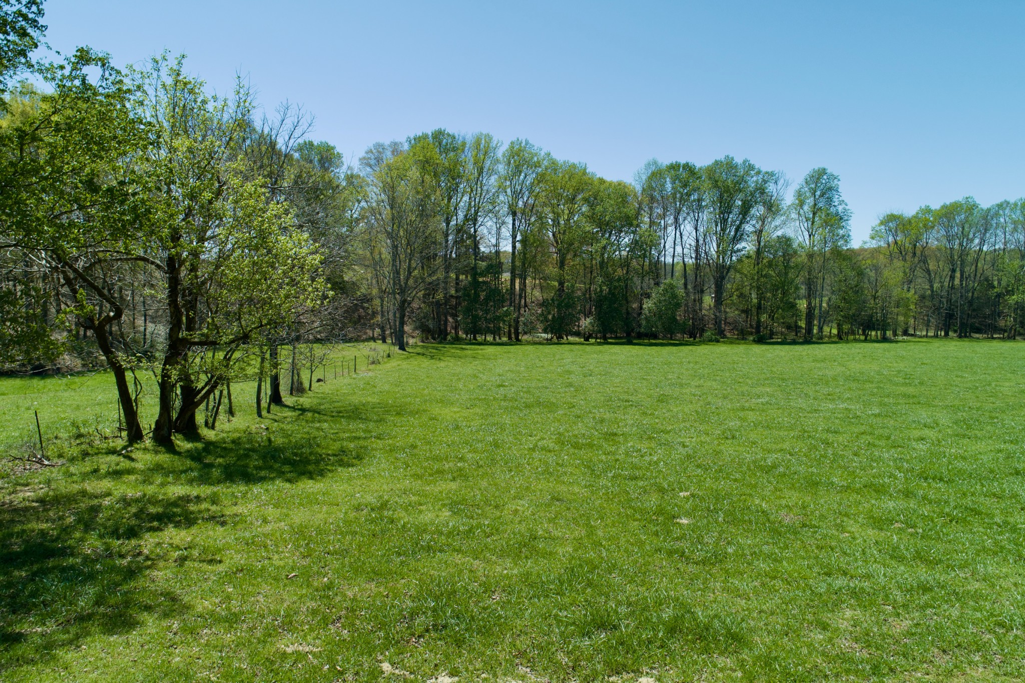 445 Boyd Creek Road Sparta, TN 38583 - Photo 13 of 16 Gallery Image 13