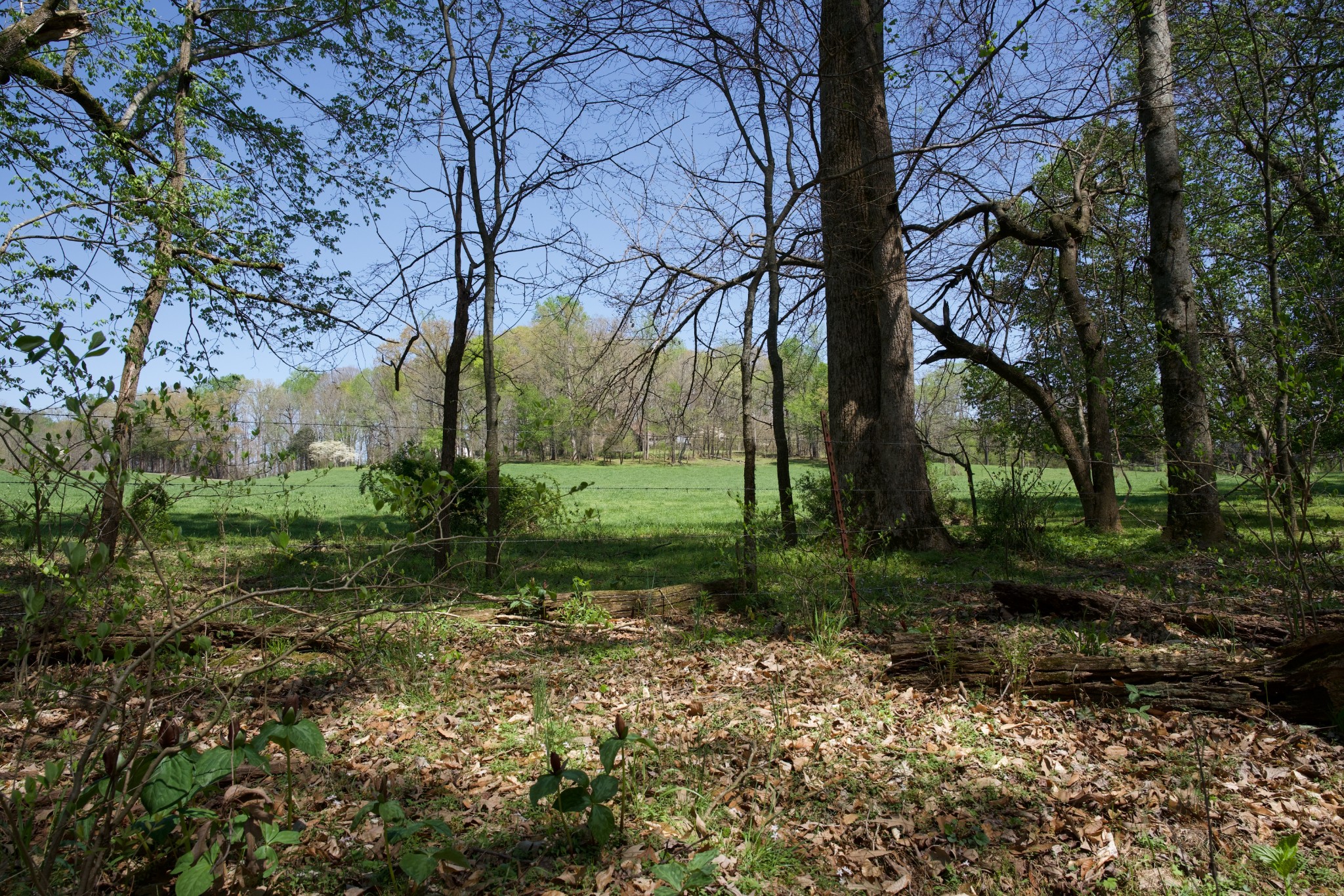 445 Boyd Creek Road Sparta, TN 38583 - Photo 3 of 16 Gallery Image 3