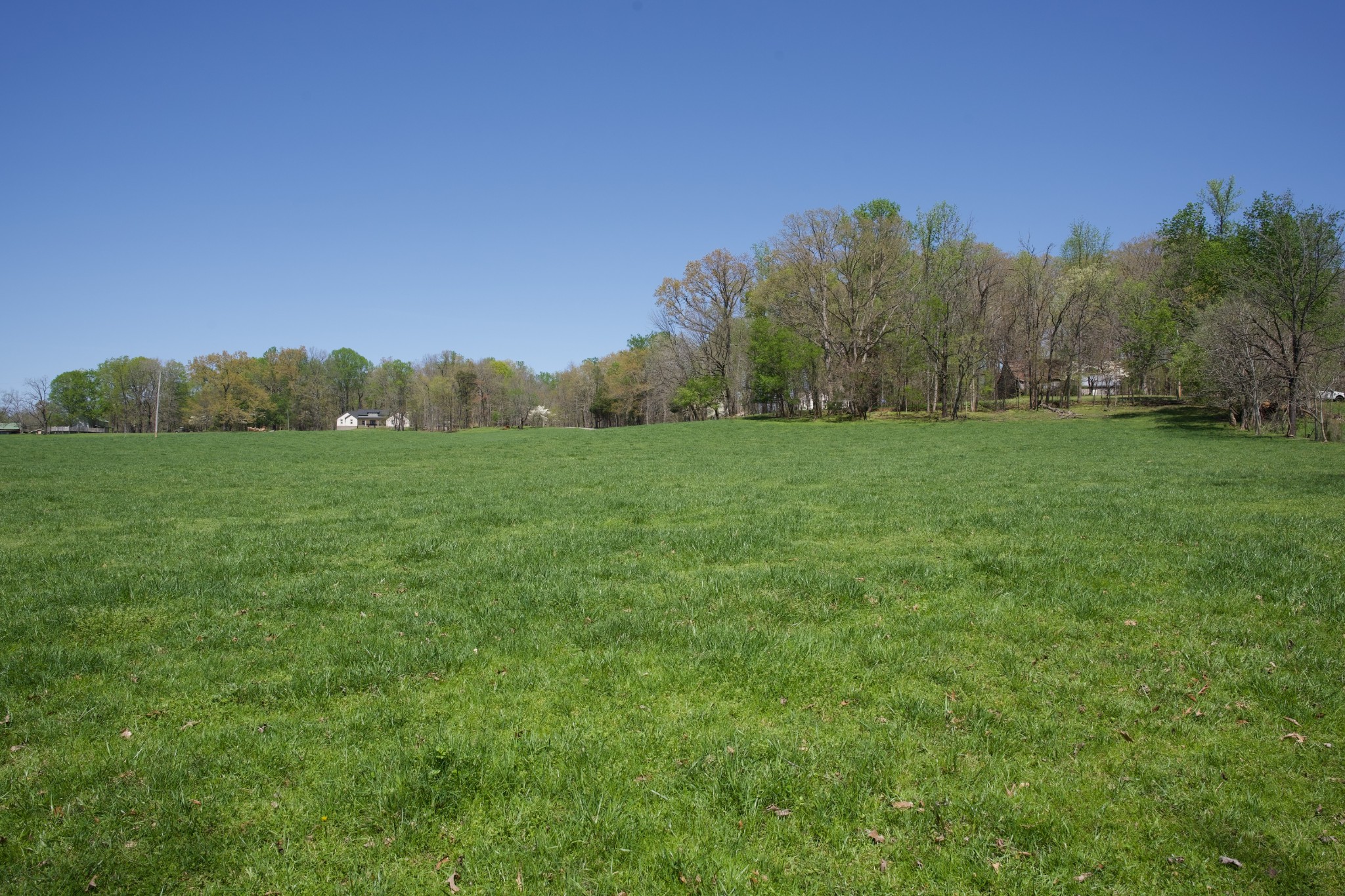 445 Boyd Creek Road Sparta, TN 38583 - Photo 6 of 16 Gallery Image 6