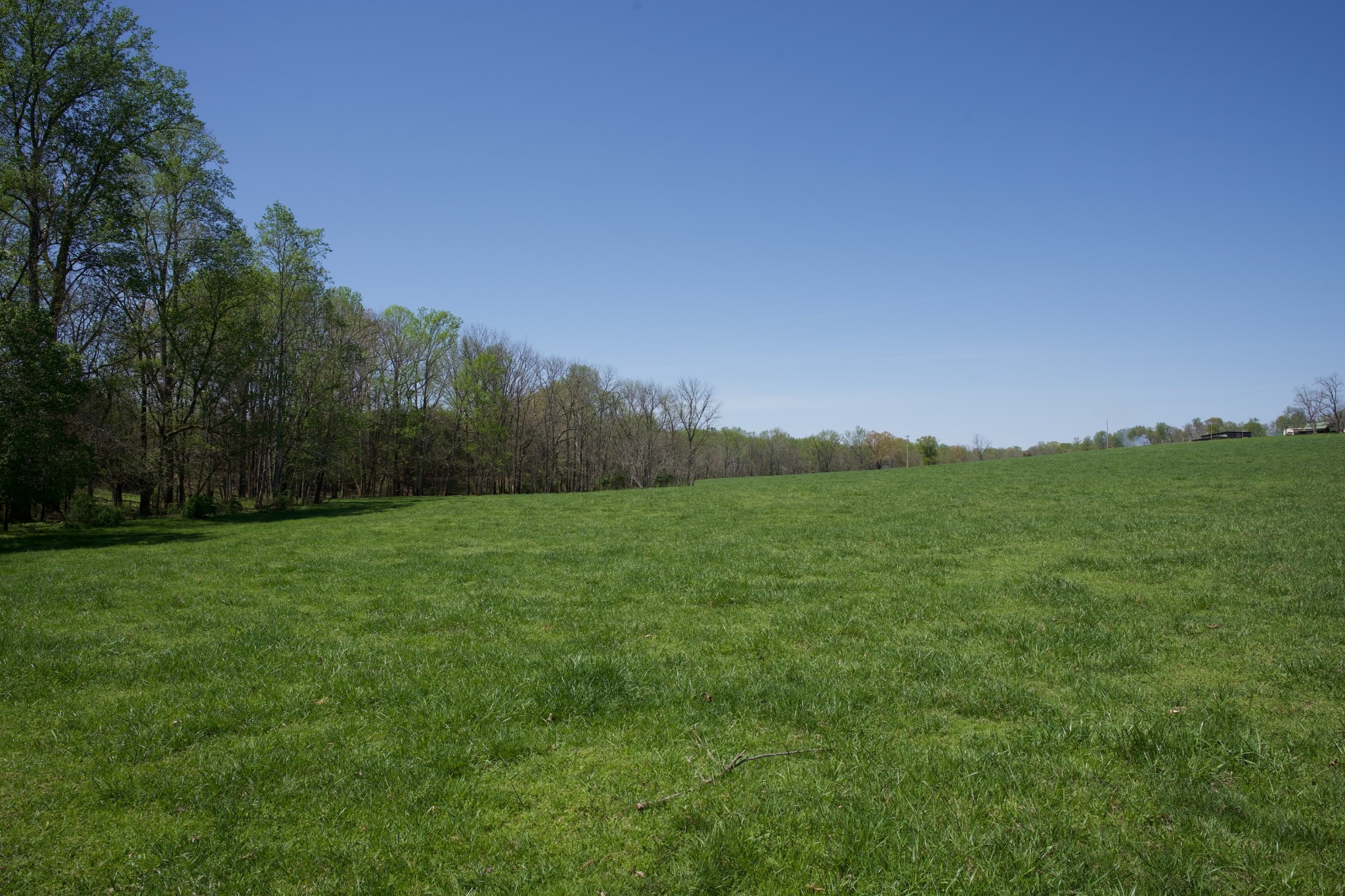445 Boyd Creek Road Sparta, TN 38583 - Photo 7 of 16 Gallery Image 7