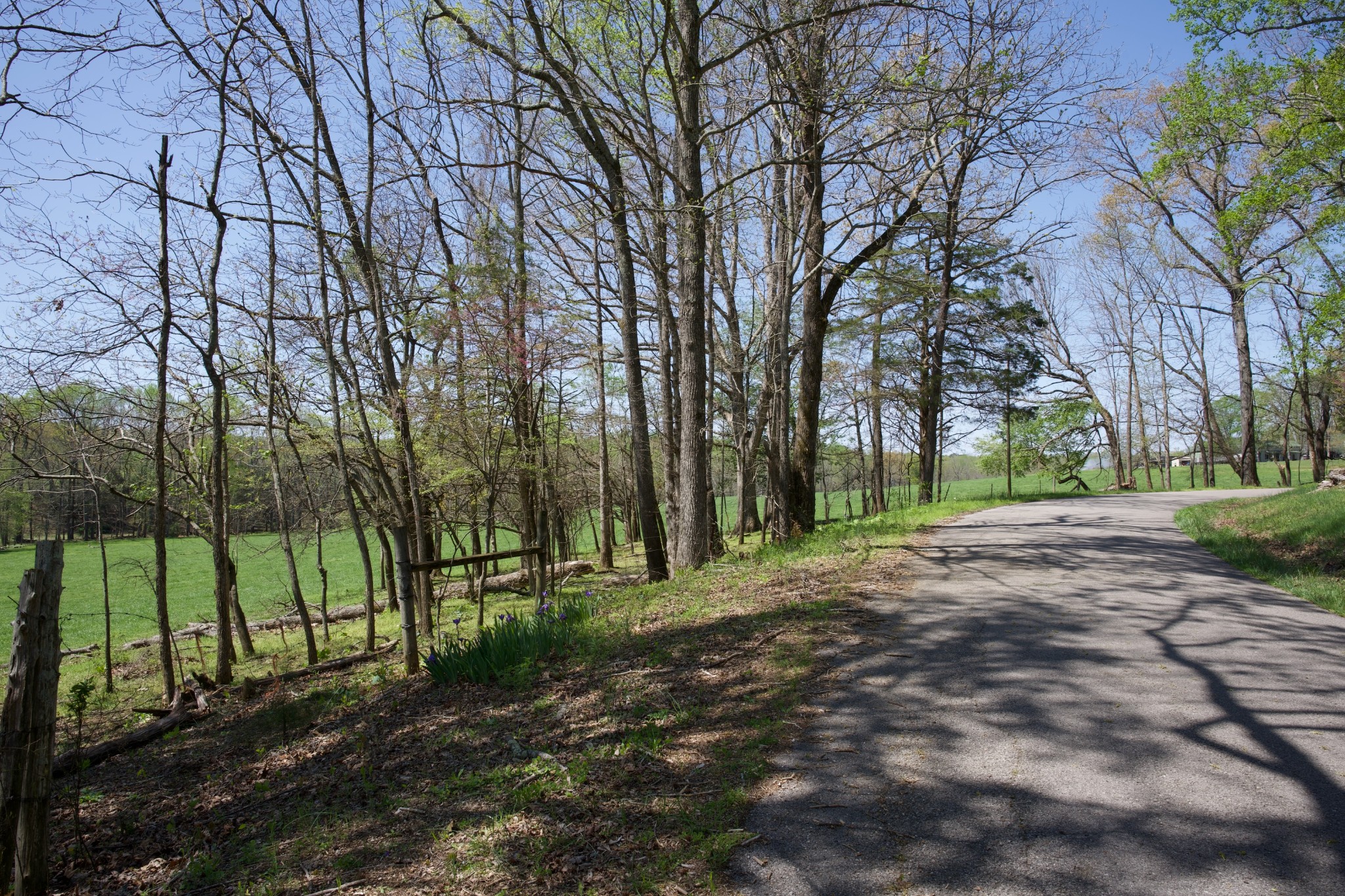 445 Boyd Creek Road Sparta, TN 38583 - Photo 8 of 16 Gallery Image 8