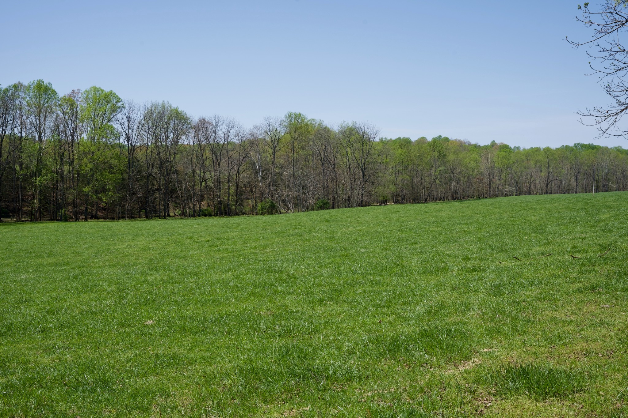 445 Boyd Creek Road Sparta, TN 38583 - Photo 9 of 16 Gallery Image 9