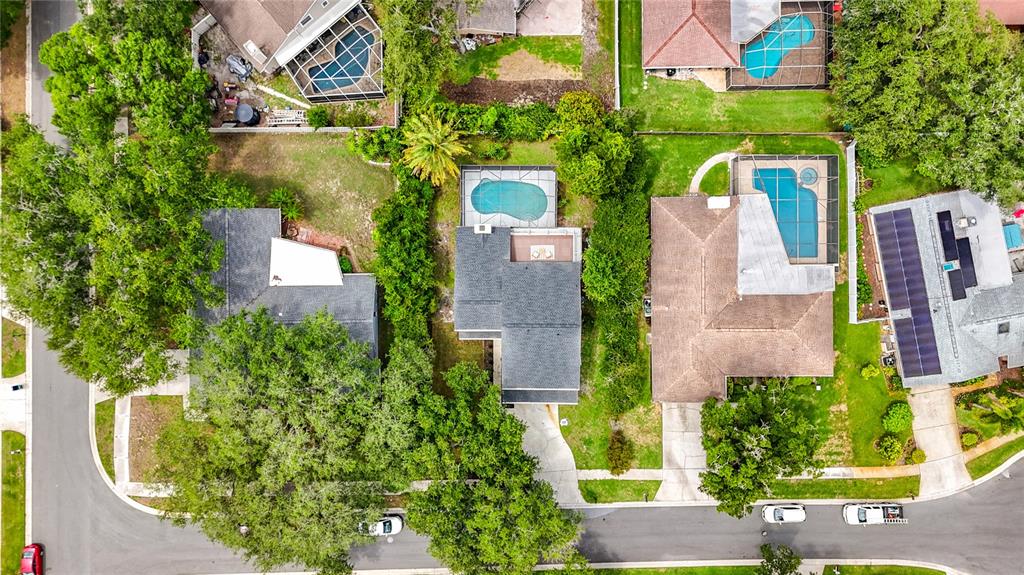 3 Octavia Way Safety Harbor, FL 34695 - Photo 60 of 65