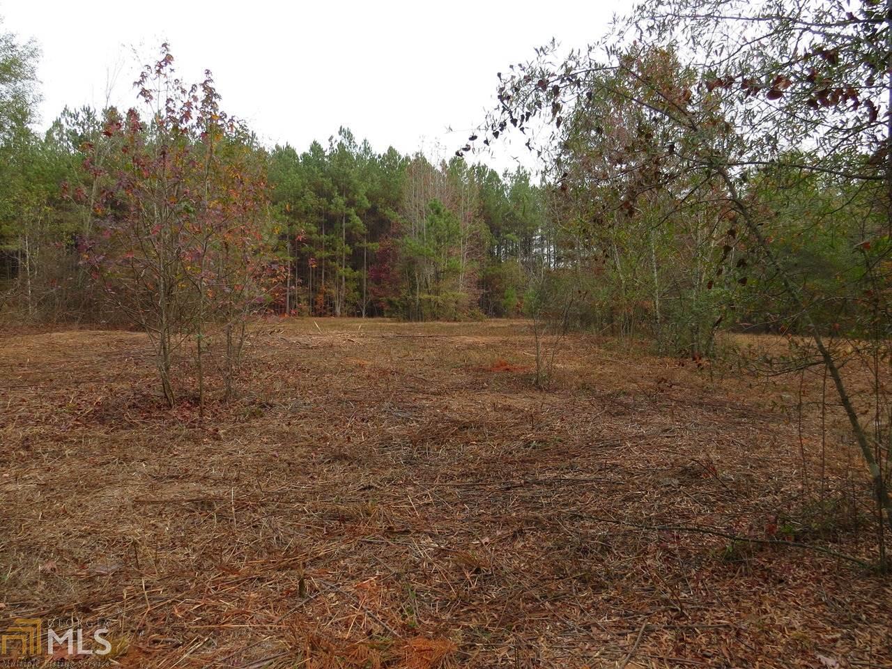 1028 Swilling Road Eastanollee, GA 30538 - Photo 1 of 1 a view of dirt field with large trees