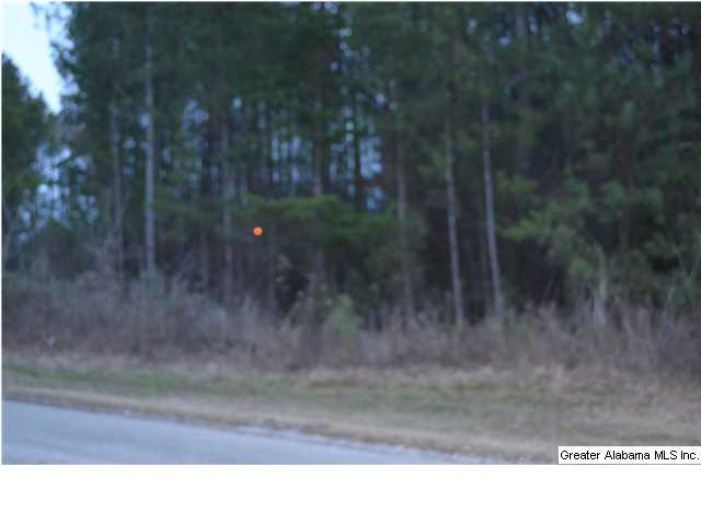 Covered Bridge Road Cleveland, AL 35049 - Photo 5 of 6