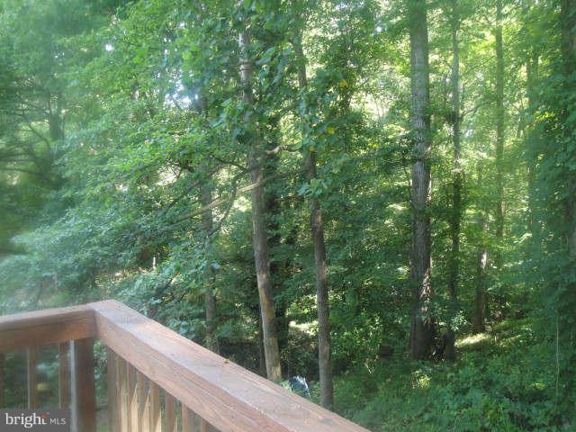 7831 Brompton Street Springfield, VA 22152 - Photo 9 of 16 Exterior (Rear)