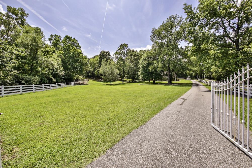 3693 Brunswick Road Bartlett, TN 38133 - Photo 3 of 30 View of yard