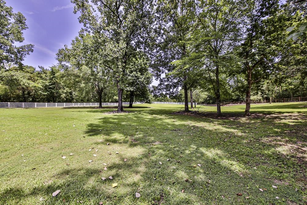 3693 Brunswick Road Bartlett, TN 38133 - Photo 8 of 30 View of yard