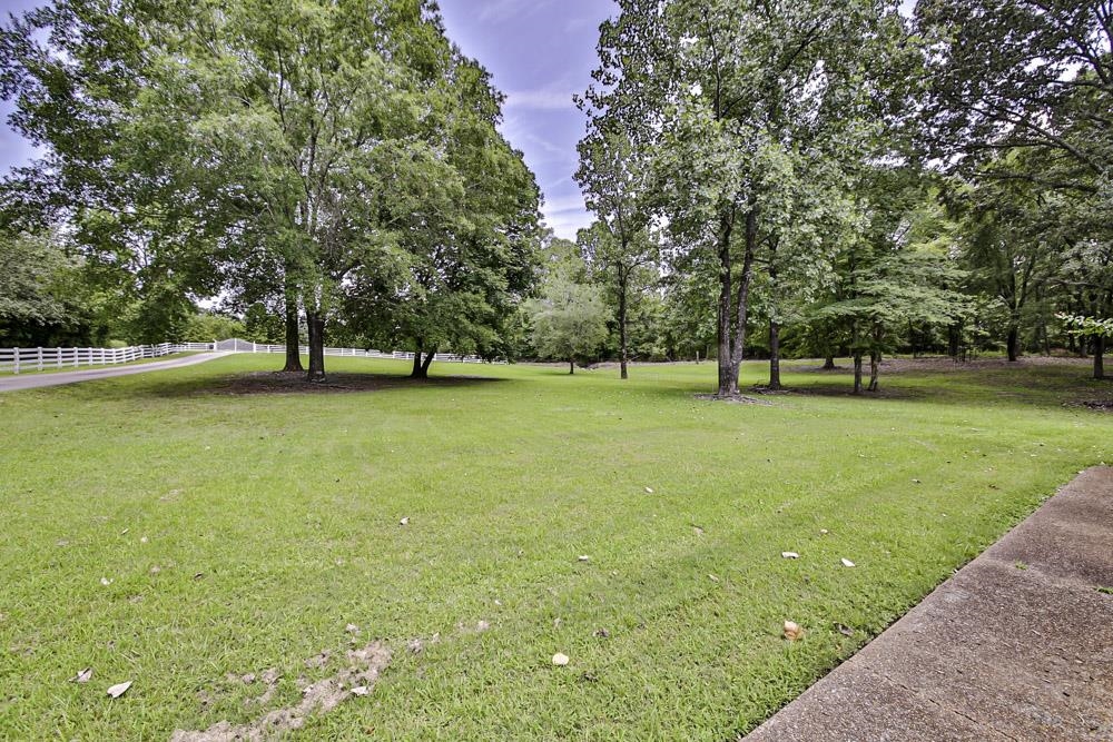 3693 Brunswick Road Bartlett, TN 38133 - Photo 9 of 30 View of yard