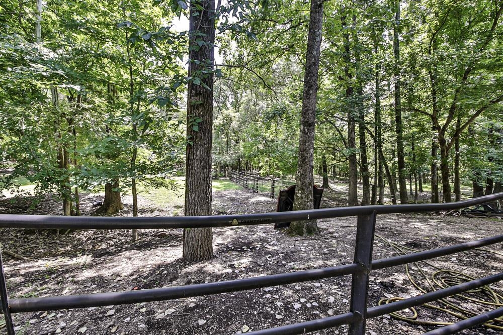 3693 Brunswick Road Bartlett, TN 38133 - Photo 10 of 30 View of yard