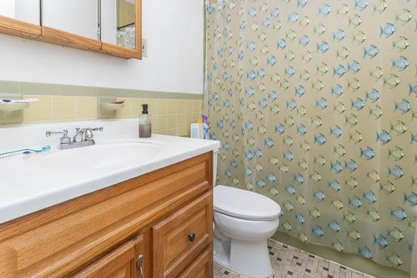 a bathroom with a sink a toilet and a shower