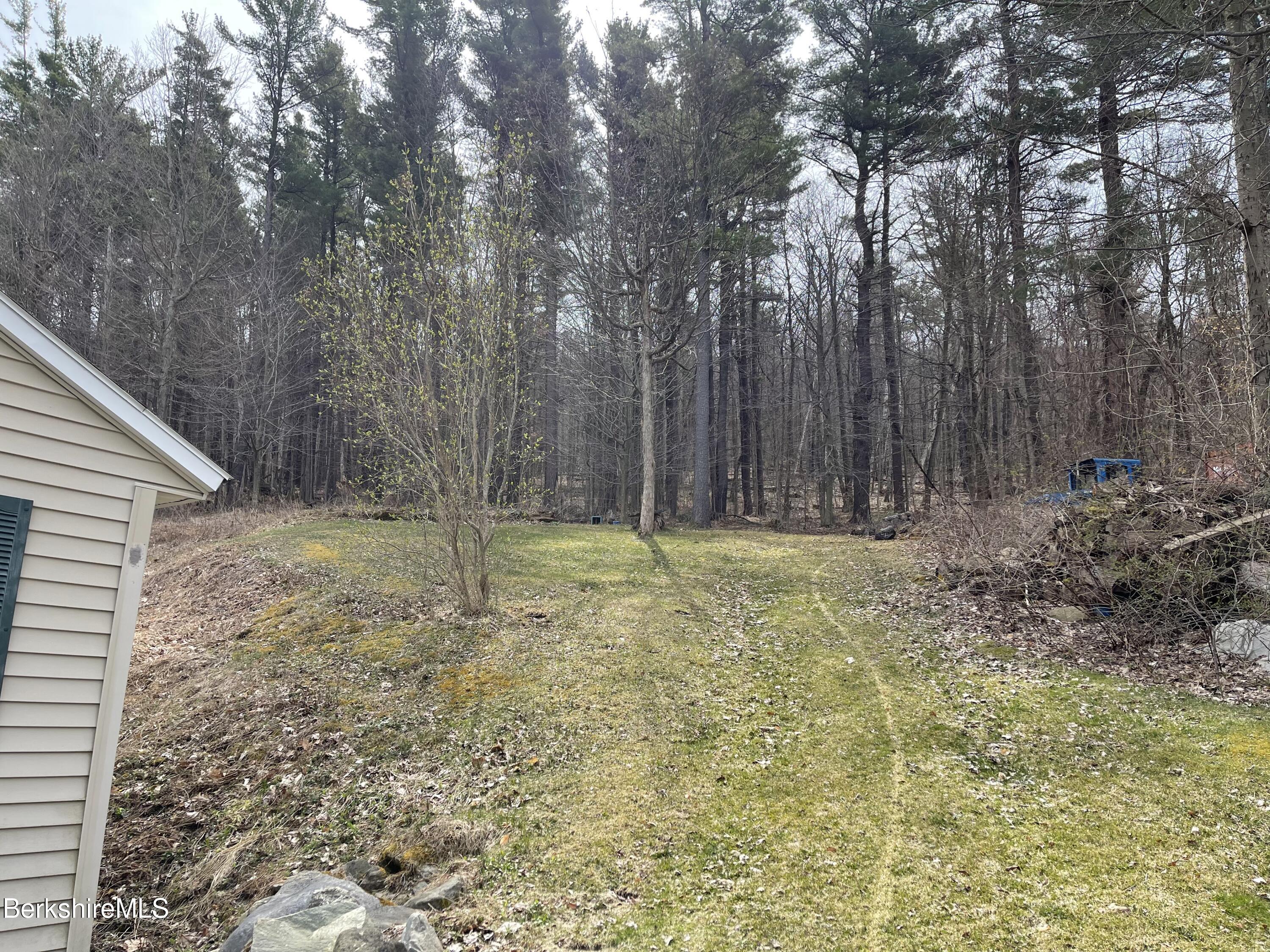 700 Lebanon Mountain Road Hancock, MA 01201 - Photo 29 of 35 Back path