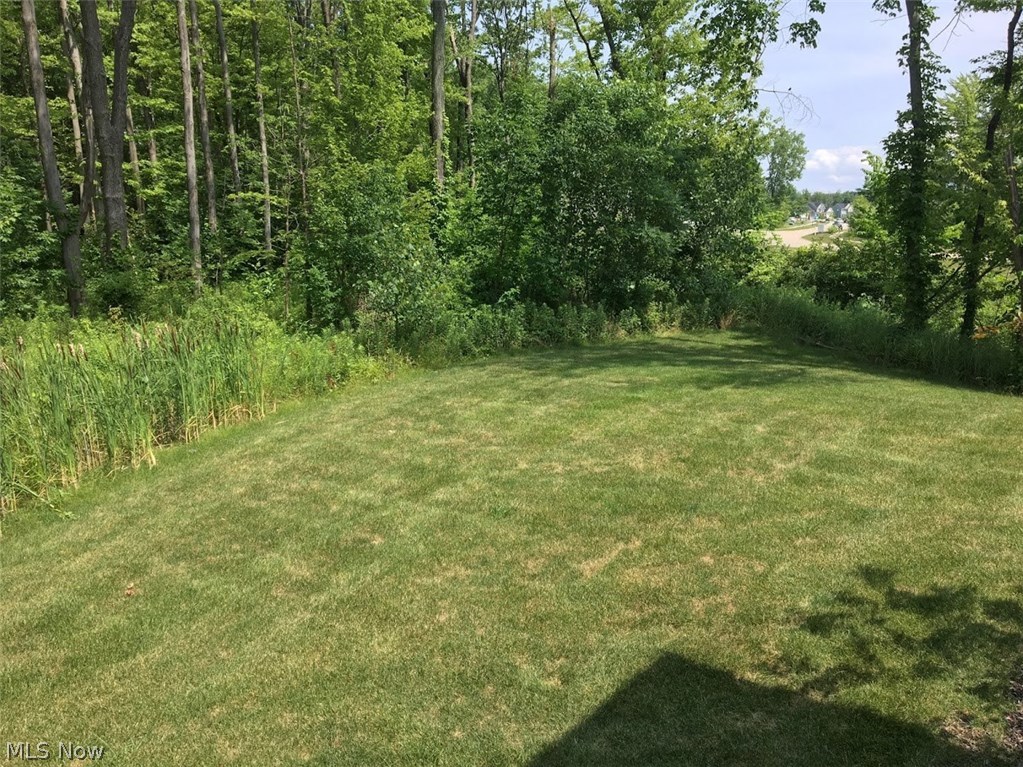 32304 Pepper Ridge Run North Ridgeville, OH 44039 - Photo 4 of 30 Large private yard