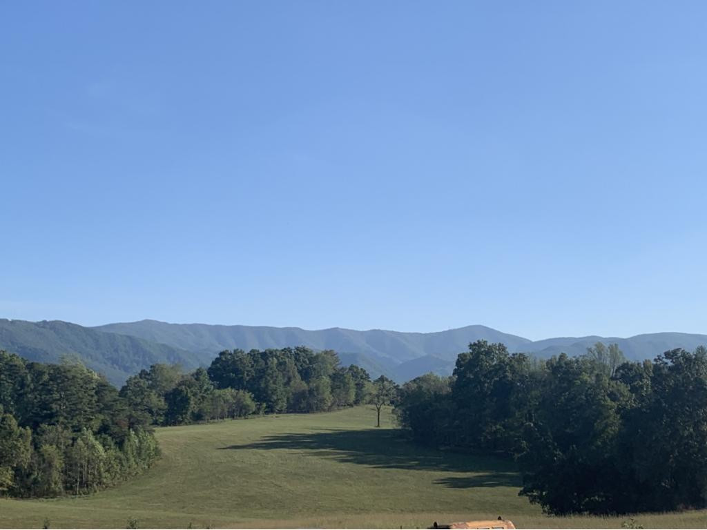 615 Jay Fanning Road Afton, TN 37616 - Photo 2 of 30 Photo 2
