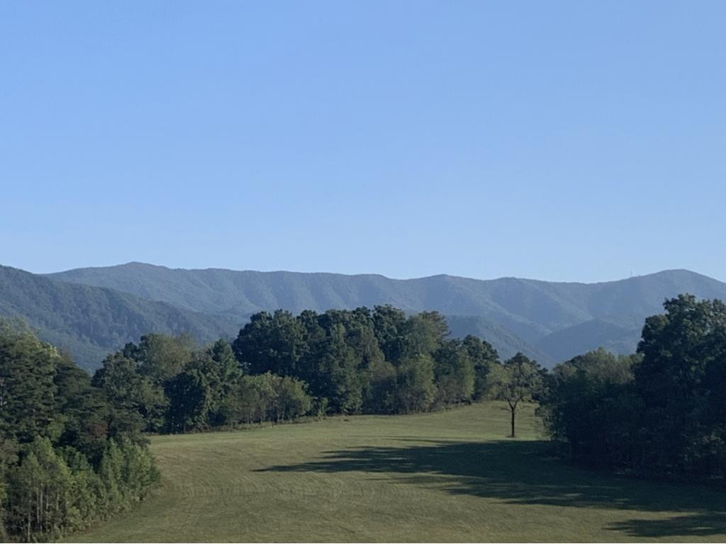 615 Jay Fanning Road Afton, TN 37616 - Photo 3 of 30 Photo 3