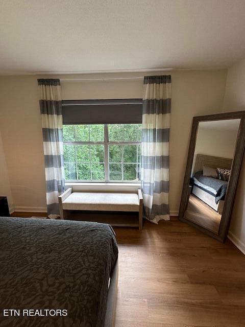 1215 Clendenen Road Maryville, TN 37801 - Photo 21 of 39 Primary Bedroom View