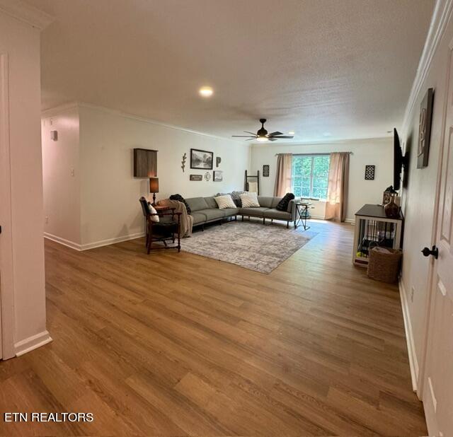 1215 Clendenen Road Maryville, TN 37801 - Photo 4 of 39 Living Room #1