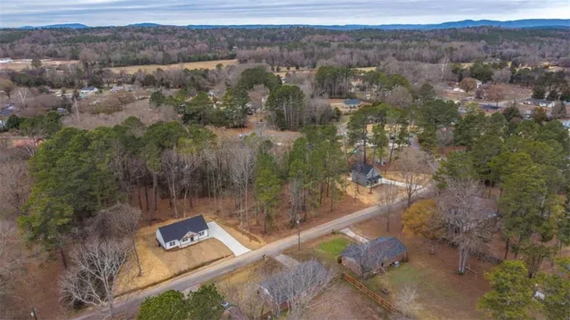 a view of a lush green forest with lots of trees
