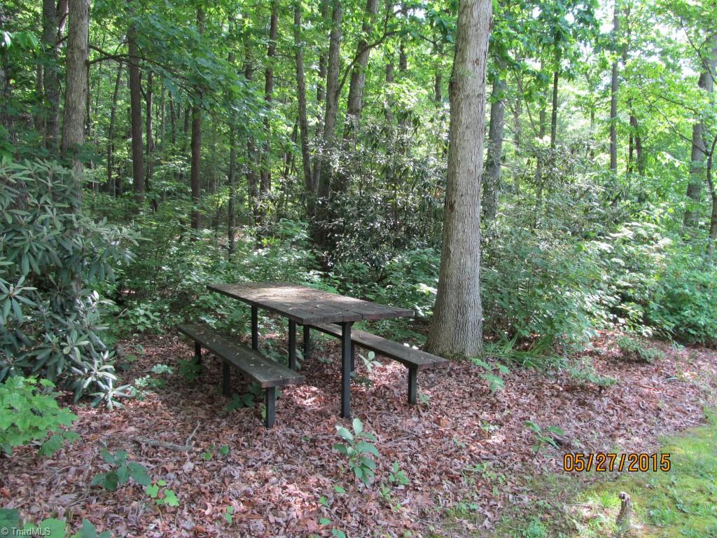 200 Hodges Mill Road Dobson, NC 27017 - Photo 7 of 29 Gallery Image 7