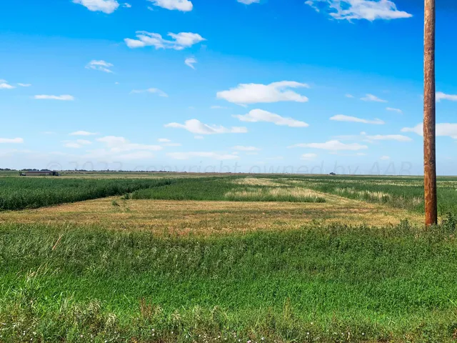 a view of an ocean and beach