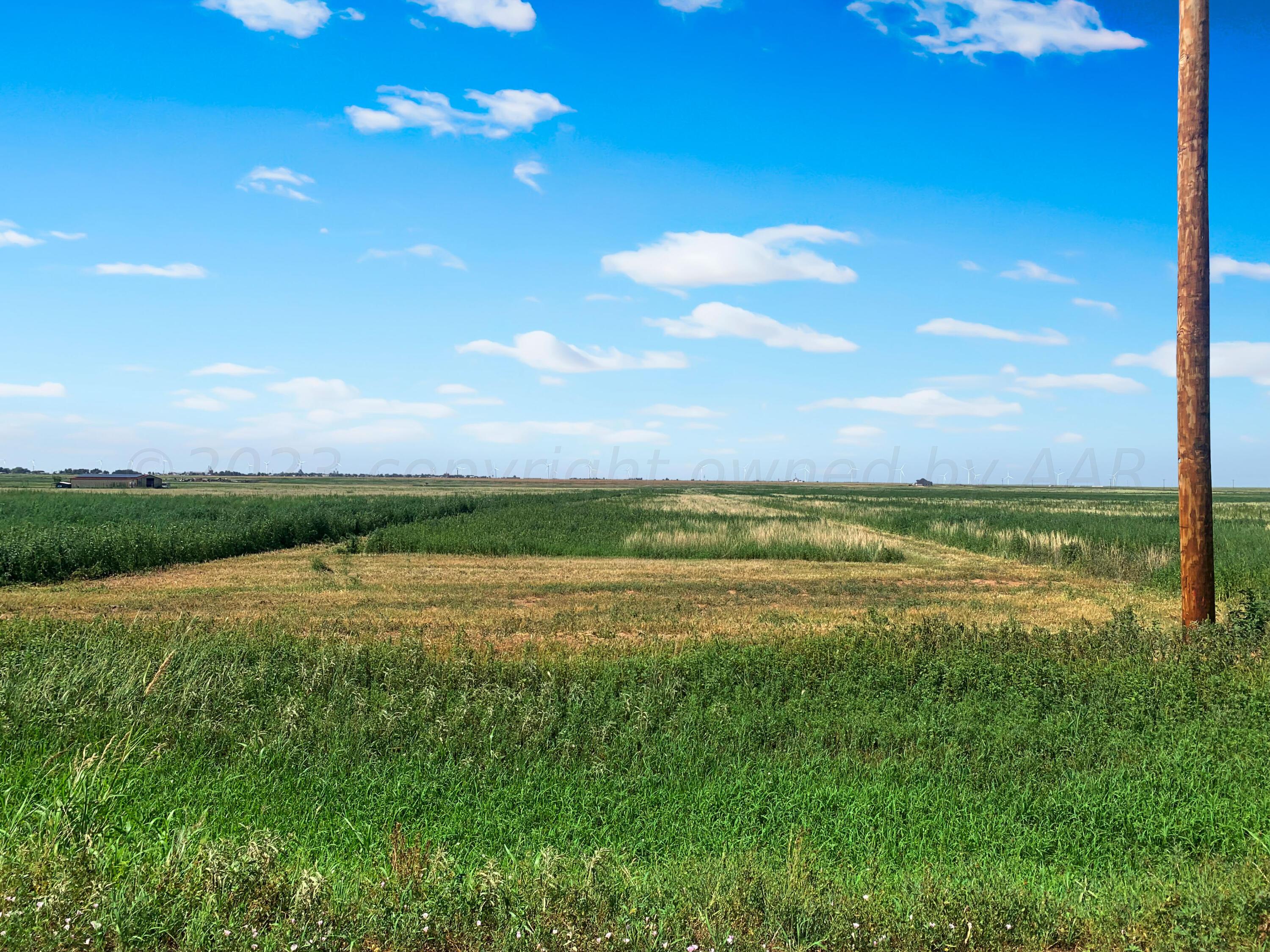 0 Co Road Wildorado, TX 79098 - Photo 11 of 13