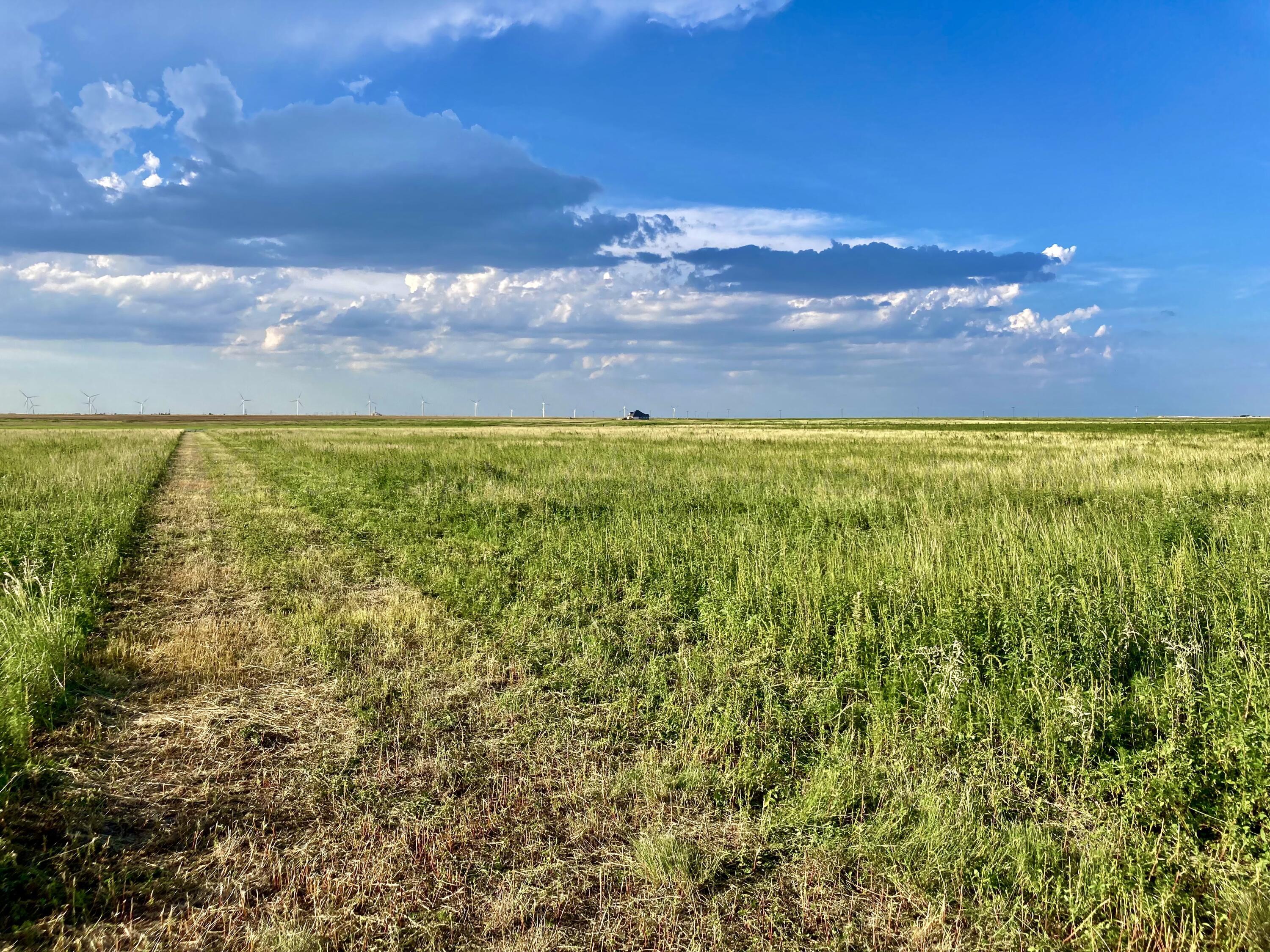 0 Co Road Wildorado, TX 79098 - Photo 3 of 13 a view of an outdoor space and mountain view