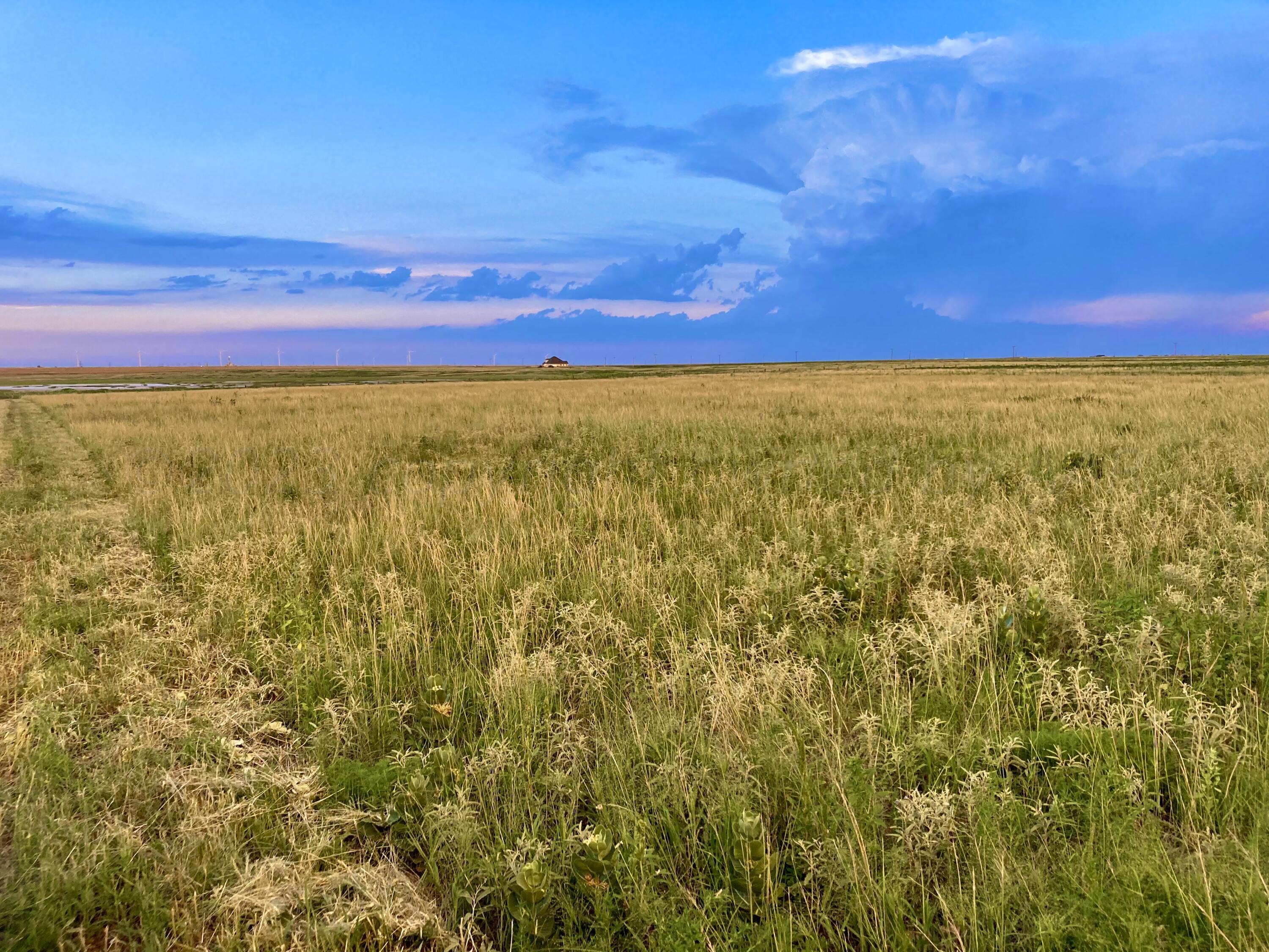 0 Co Road Wildorado, TX 79098 - Photo 4 of 13 a view of an ocean